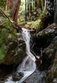 Muir Woods Waterfall