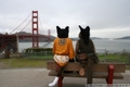 Golden Gate Suitwalk 2006