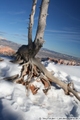 Winter in Bryce Canyon