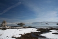 Mono Lake