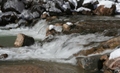 Virgin River, Zion