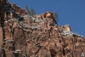 Zion Rocks