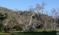 Del Valle Campground