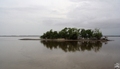 Blick vom Hafen von Everglades City