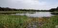 Myakka River State Park