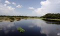 Myakka River State Park