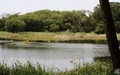 Myakka River State Park