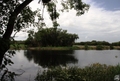 Myakka River State Park