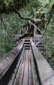 Myakka River State Park