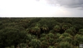 Myakka River State Park