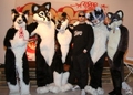 Fursuit Photoshoot, with Belleville Lowrider